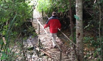bach ma national park day tour from hue